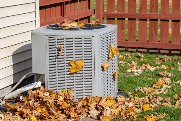 Best HVAC tune-up services  in Lazy Mountain, AK